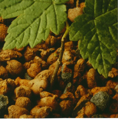 wohnungswirtsch's profile picture. Fachjournalist, Bauing., Sachverst., Hoch- und Tiefbau, Wohnungswirtschaft, nachhaltig Bauen, Energieeffizienz,  Fachbuchautor, Chefredakteur Technik