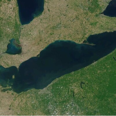 jimbader1's profile picture. Big fan of all things aquatic. And some other stuff, too.