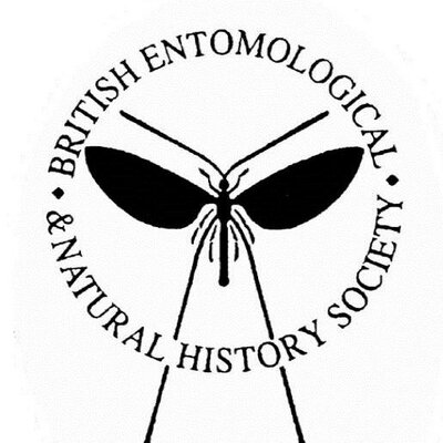 Daddy long legs - Entomologists' glossary - Amateur Entomologists' Society  (AES)