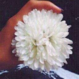 آللـي يحبـك تبـان آفــعالـه ...وﻵ آلحـكـي كلنّ يقـوله ~* ♡♡$.