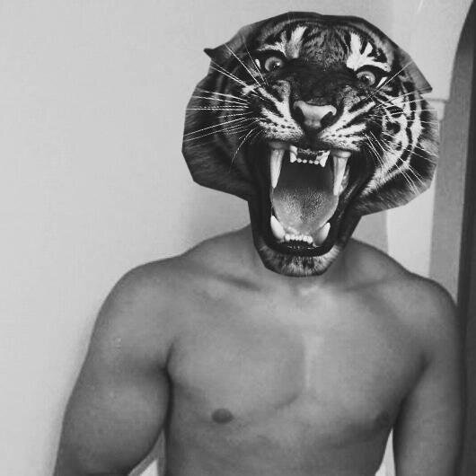 nsrngktrk's profile picture. 