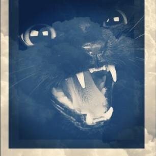 Catt4Black's profile picture. berhenti menghubungiku,
menghilang, dan seolah
tidak pernah ada di
kehidupanku