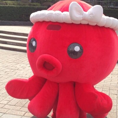 栃木ほか関東、南東北のドライブアカウント。