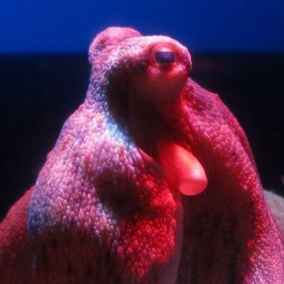 なんたいさんのプロフィール画像