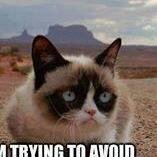 merilkv's profile picture. 