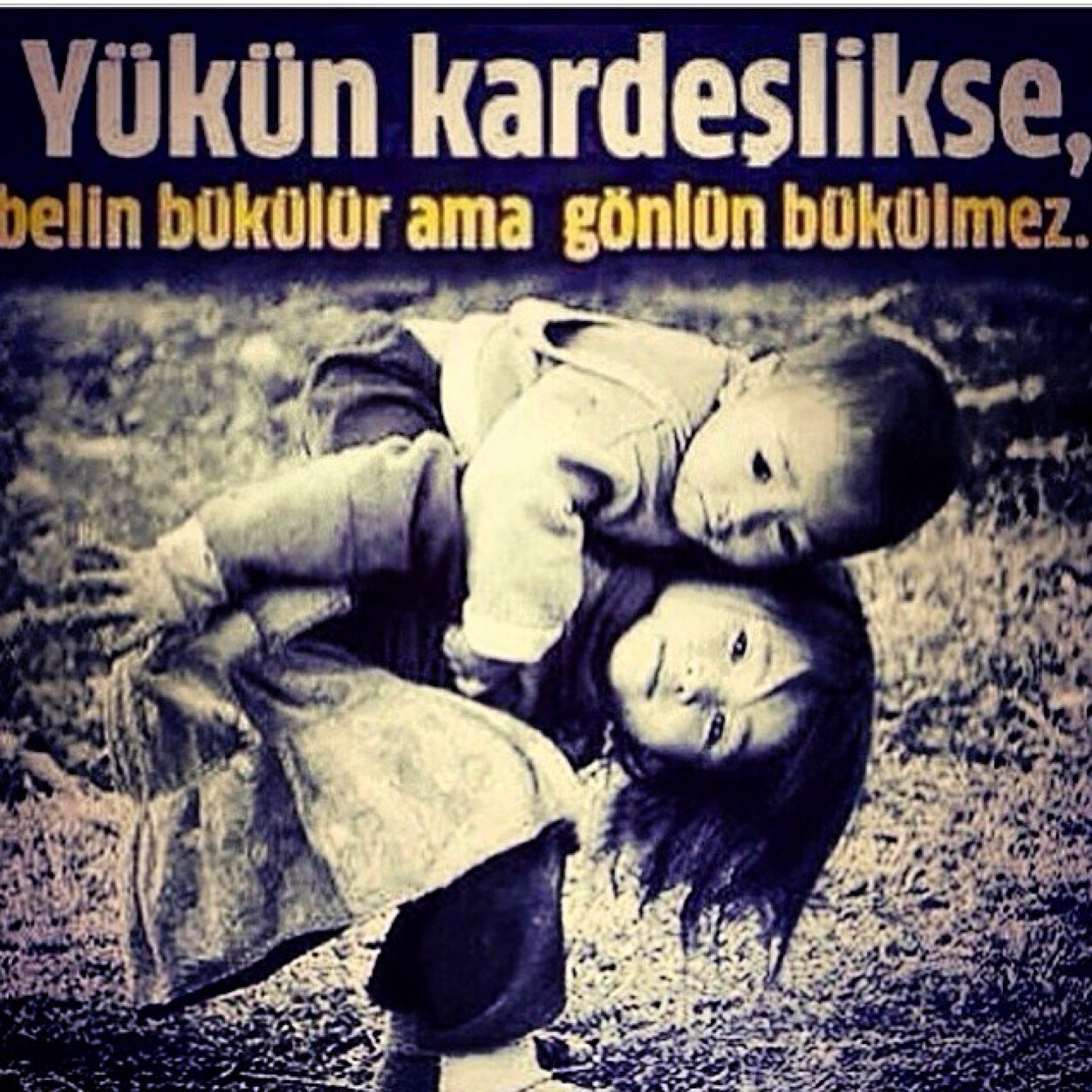 aysededeoglu1's profile picture. 