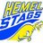 HemelStagsRL's profile image