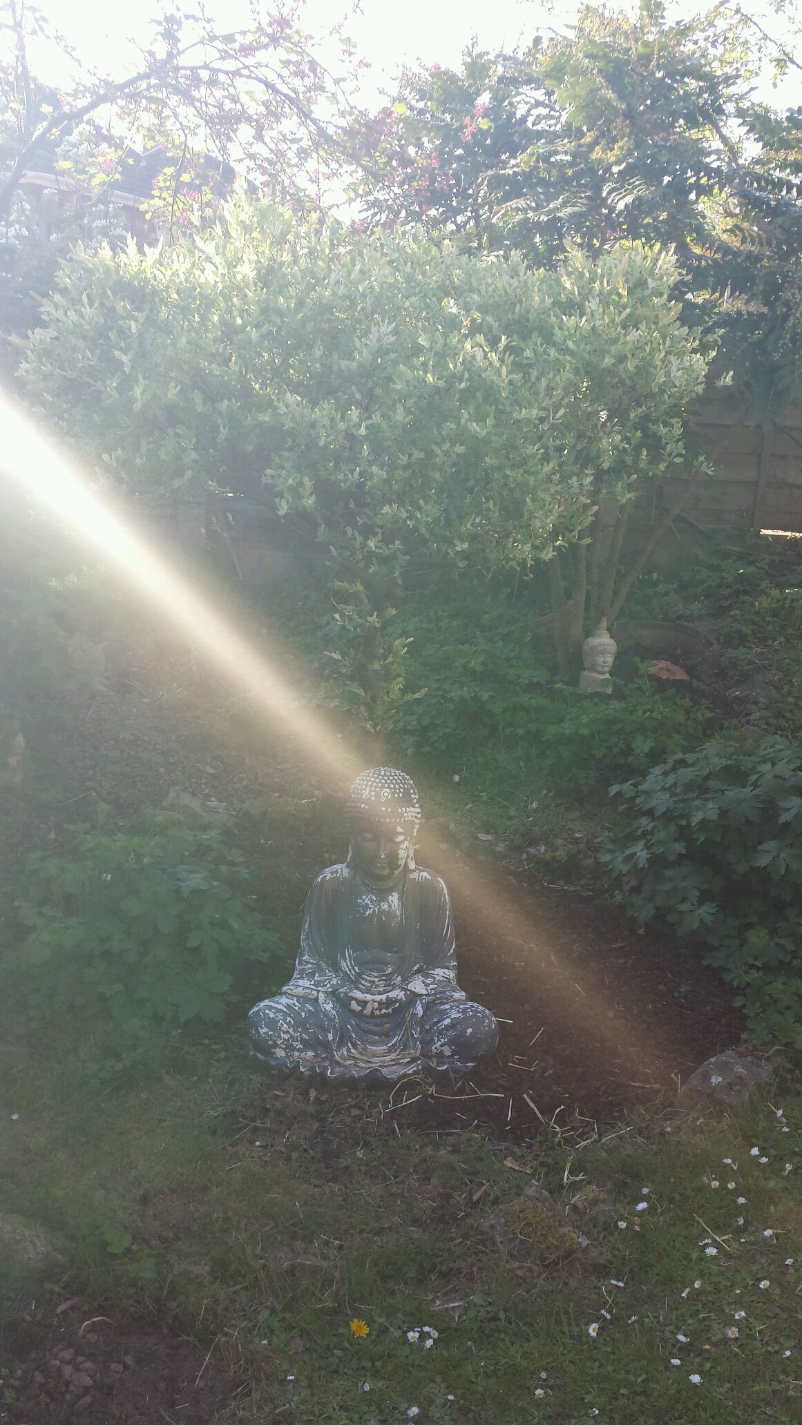 ktlancs's profile picture. Mum of 2 little people and 2 furry felines, Deputy Headteacher #readingopensdoors #atheism #humanism