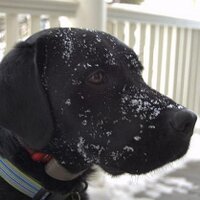 George Woodward (@gswoodward) Twitter profile photo