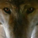 Jacob Power - @Vulture_97 - Twitter