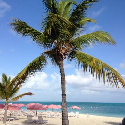 Husband, father, liberal, tech guy and individual contributor. Wanna-be beach bum.