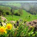 Keith Mortimer - @mortimer128 - Twitter