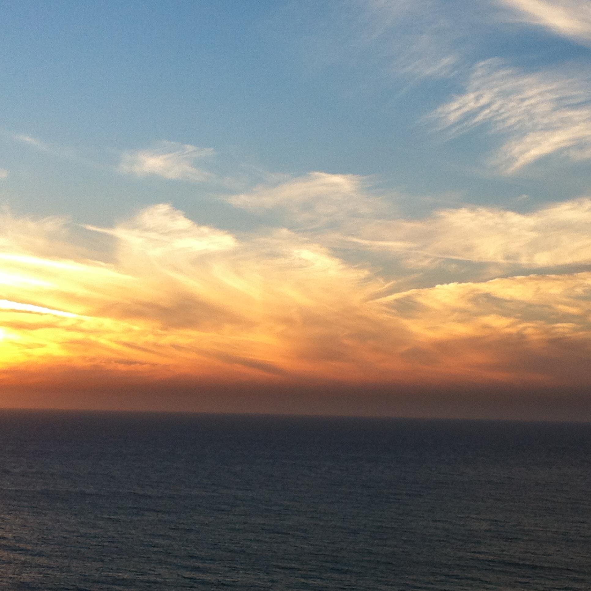 LiliumRegal's profile picture. 