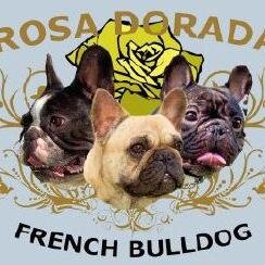 ROSADORADA2's profile picture. 