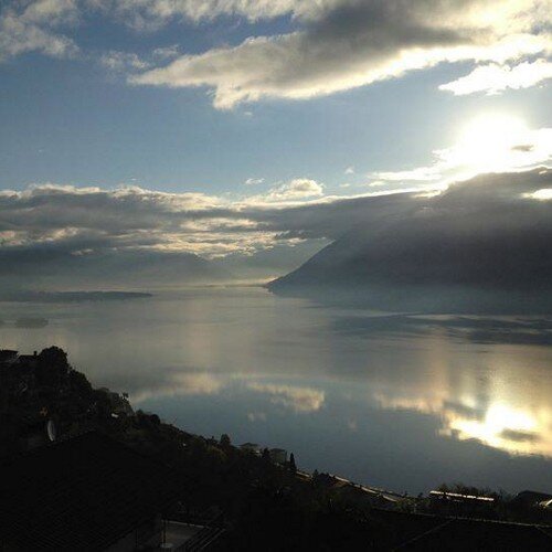 MichaelBergen3's profile picture. 