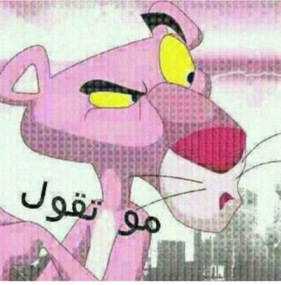 dfdf27884's profile picture. 