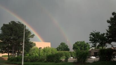 sharkelton's profile picture. 