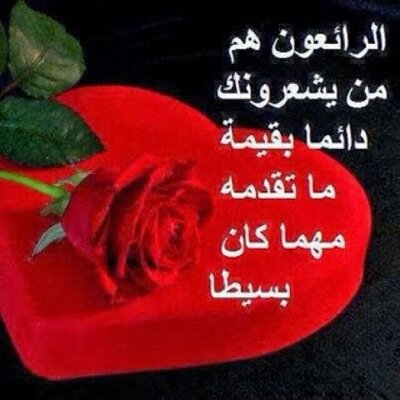 الأواني الفارغة تـُحدث ضجة أكثر من الأواني الممتلئة .. وكذلك البشر !