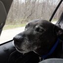 Paula Byer - @pabyer - Twitter