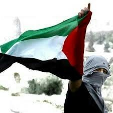 ilokerpol's profile picture. «Los nada de hoy todo han de ser...¿Tu no has oído esa letra? Nosotros sí, y la cantamos muy a menudos.Creemos en la letra de esa canción.»  12140 Alcocasser