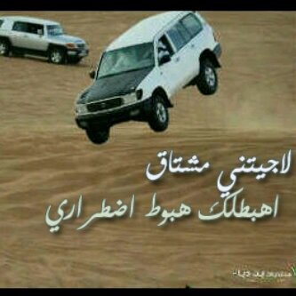 3ynawiah1's profile picture. 