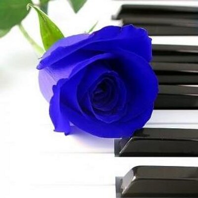 Taka 10 8llbs ありふれた悲しみの果て コード 進行は大体覚えたｗまぁシンプルな曲なんだね ギターソロ部分だけできるようになったらちょっとアップしてみようかな まぁ需要はないだろうけどね