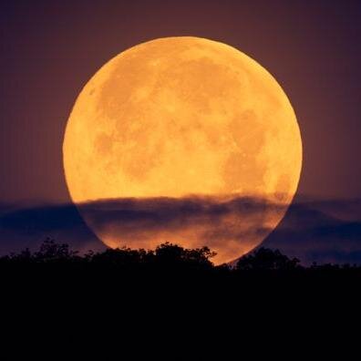 ChristianGiebel's profile picture. 