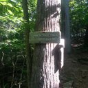 Lee Cherubin - @leecherubin - Twitter