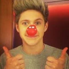 directioner com orgulho :D