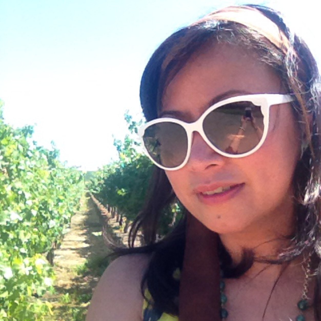 NoviSf's profile picture. 