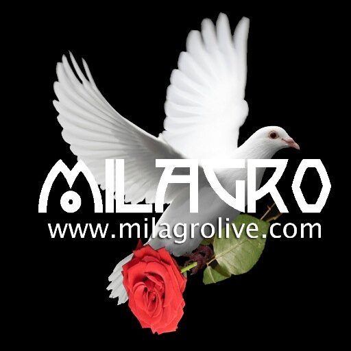 Milagro is a New York based Santana tribute band available for any occasion and venue at any location.