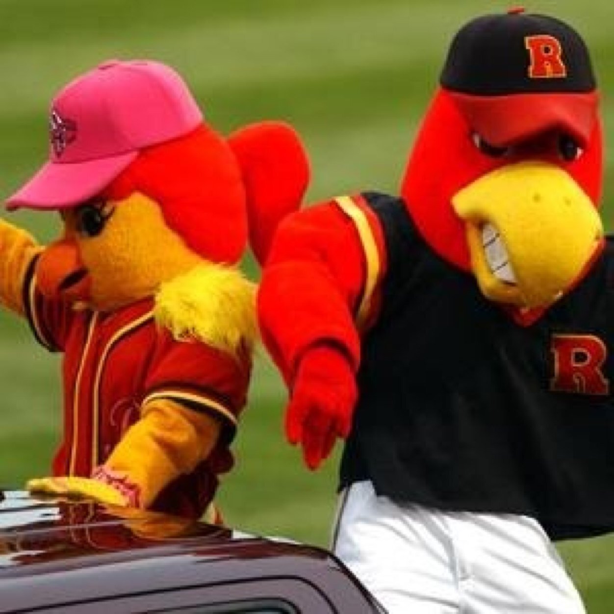 The Rochester Red Wings' two biggest fans! You can catch us dancing, joking, and high-fiving from first pitch to fireworks at Frontier Field!