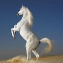 douglas clancy hale - @metalman5050 - Twitter