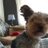 juanan_opc's profile image