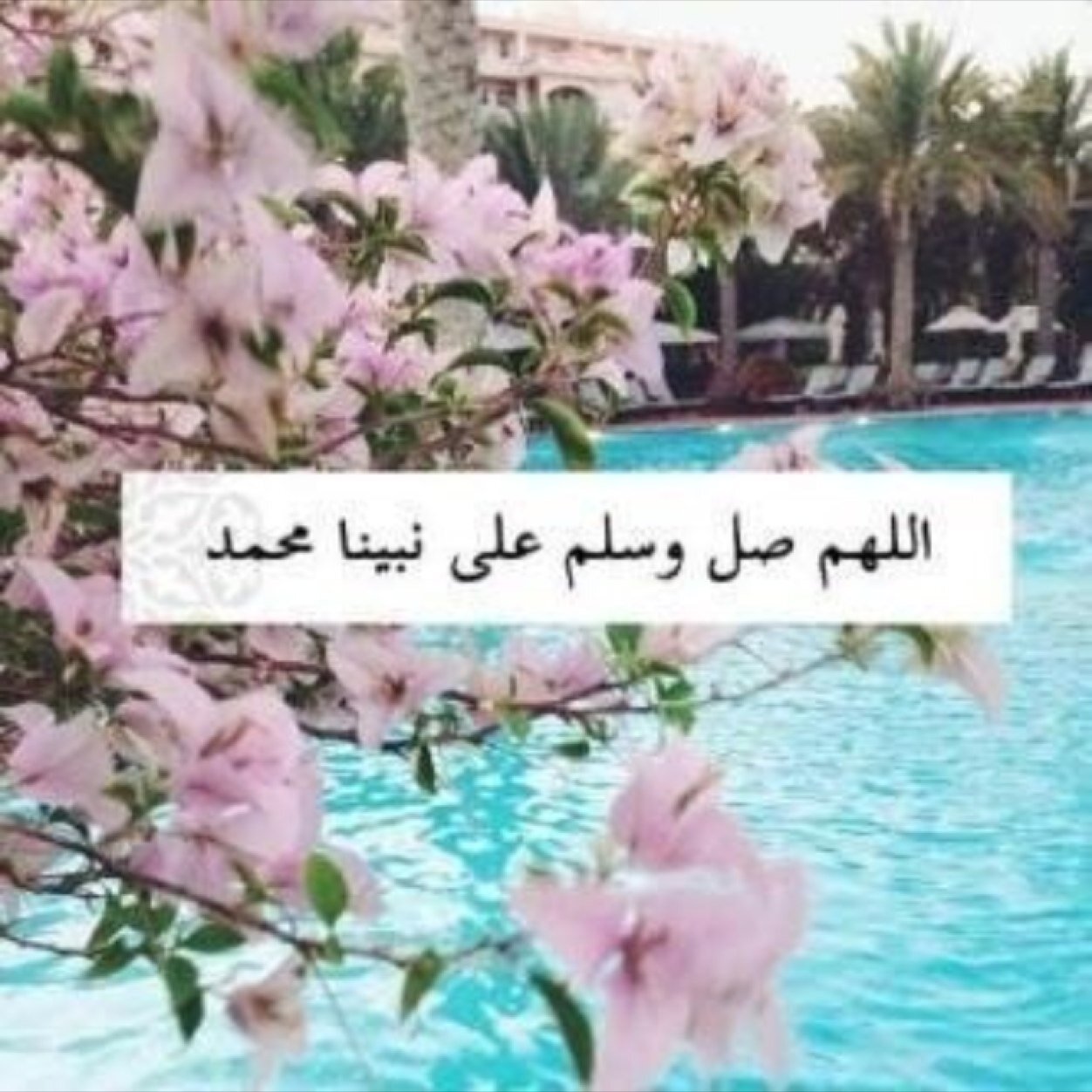 انسانه عاديه، قنوعه، منتقده♐ ليس كل ما اكتبه يعبر عني✨