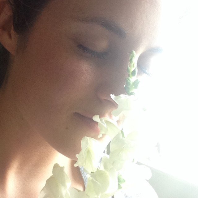 MeggieSuze's profile picture. I'm a story-teller & believer. My tweets are going to be about truth, beauty, goodness...or something I find hilarious.