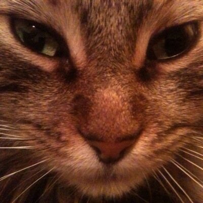 https://t.co/WIHzQbV0Wr developer, and supporter of Liverpool FC.