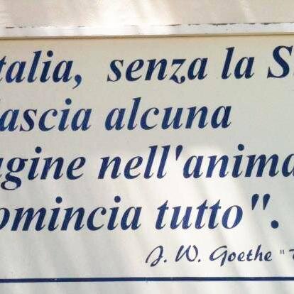 MaxScimemi's profile picture. 