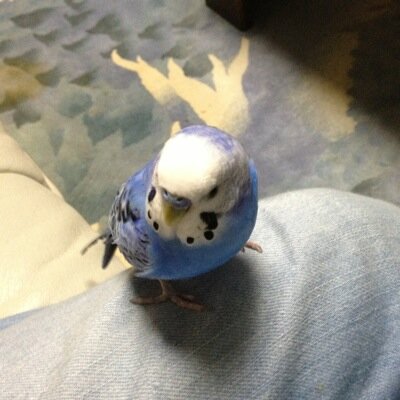 ↑20。松田凌、WORLD ORDER、アート。雑多なことを呟きます。リツイートも多いです。低浮上です。たまに鍵かけます。