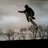 BMXandMarathon's profile image