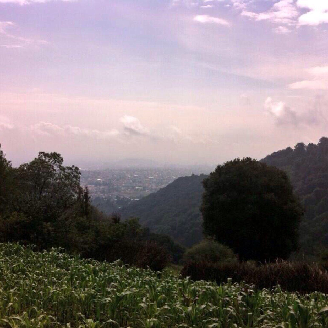 loperenaya's profile picture. 