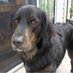 Penny (@stonehewers) Twitter profile photo