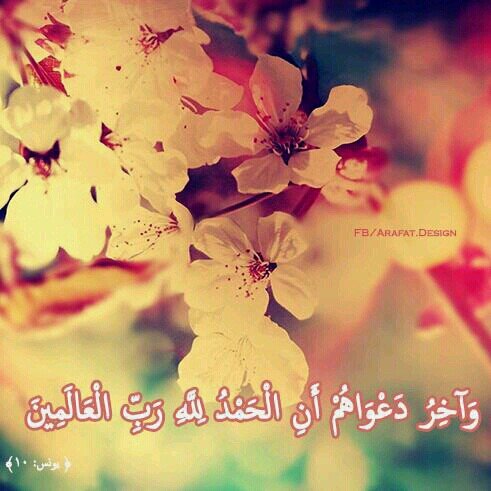 ‏‏‏‏‏‏اتابع اللي يتابعني انفضو مفضلتي