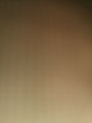 twittyburds's profile picture. 