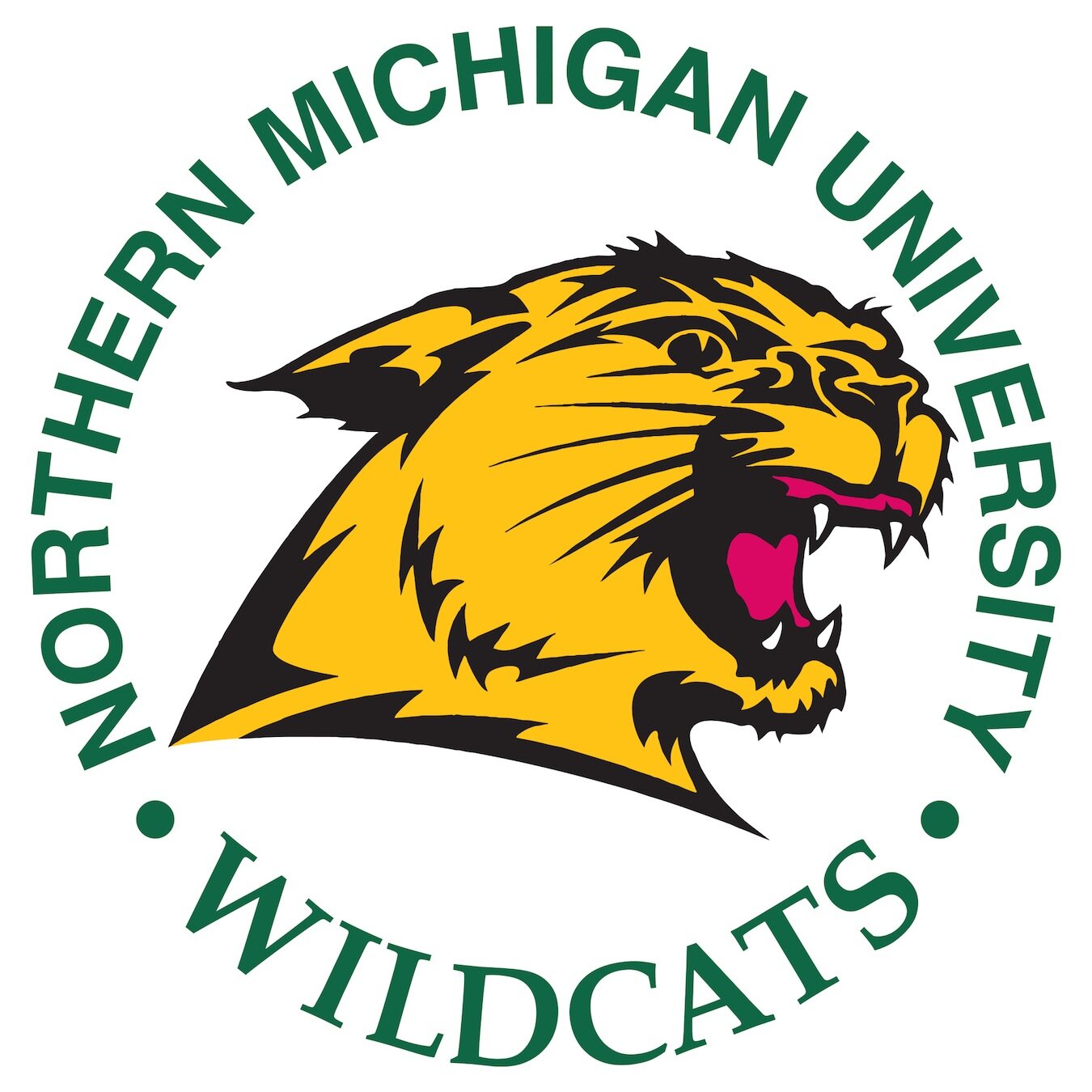 The official twitter of NMU Game Day. Follow @NMU_GameDay for score updates and game information.