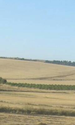no hay mejor cosa que la vida y la gente de pueblo y de campo♡