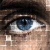Chris Boomer ππ» Profile