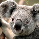 Tabitha Joplin - @TabithaJoplin1 - Twitter