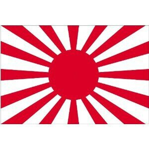 反日、特亜は日本から即刻追放すべき。皇土奪還。日本をより良い國へ。知らない人には知って貰いたい事実が沢山あります。今こそ立ち上がれ皇國民よ、旭日旗を掲げ英霊に敬礼！