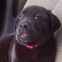 Maxwell_kimble - @Max_kimble - Twitter